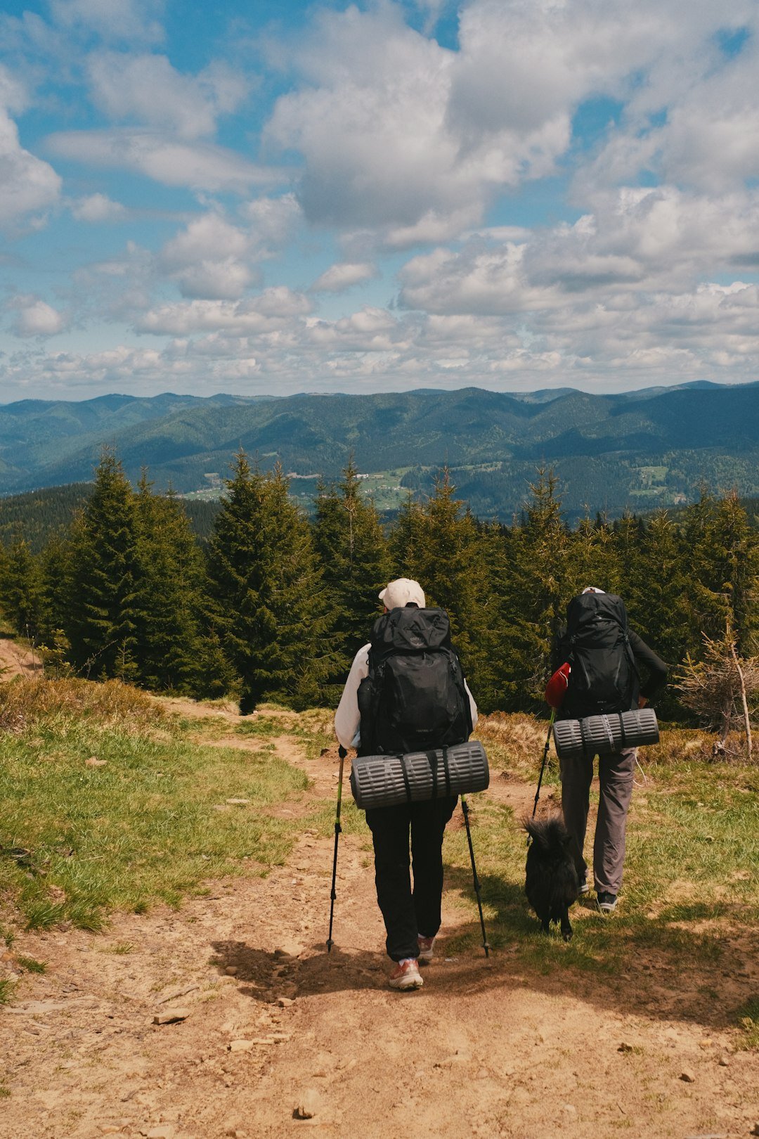 seniors hiking in mountains