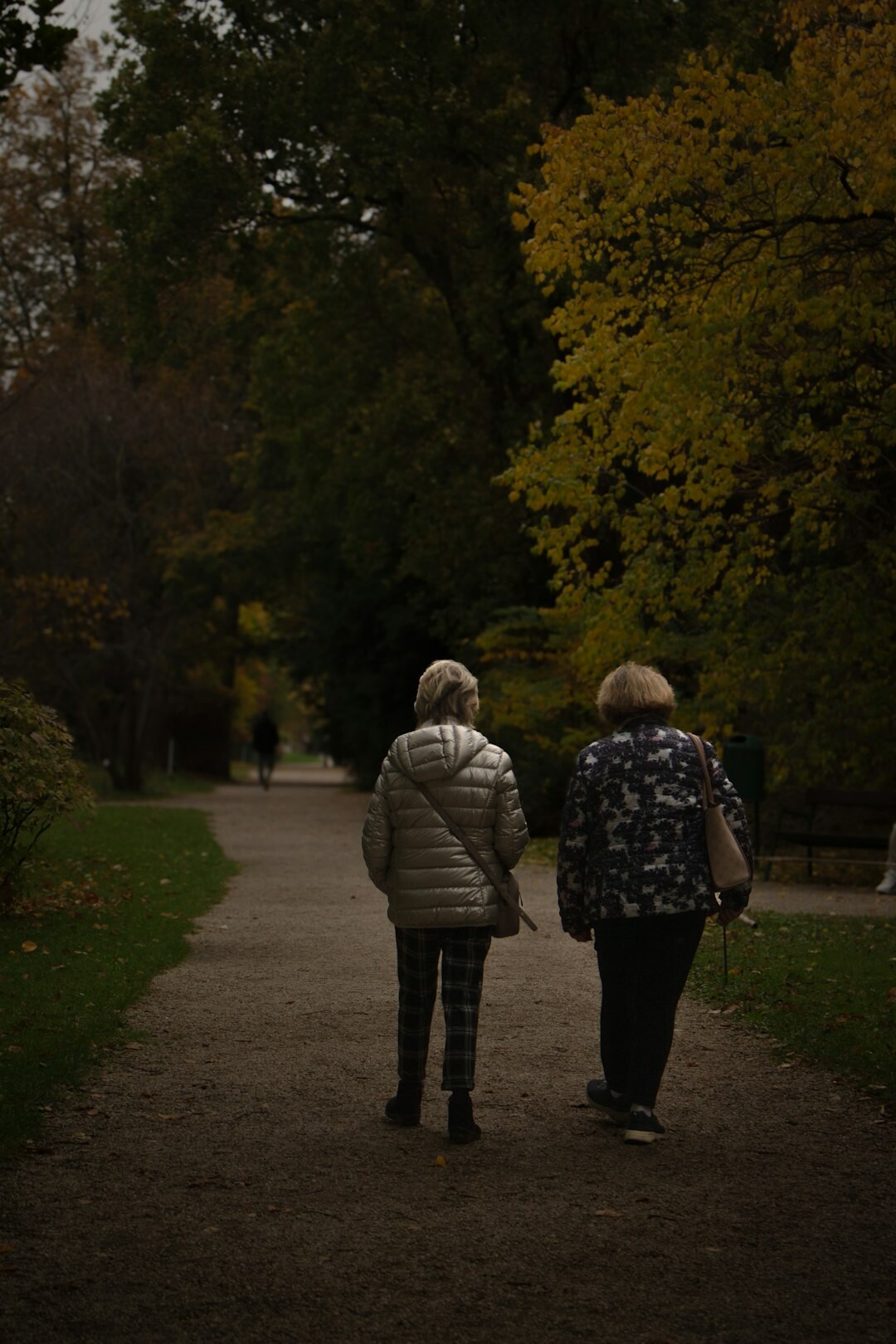 senior couple walking in park