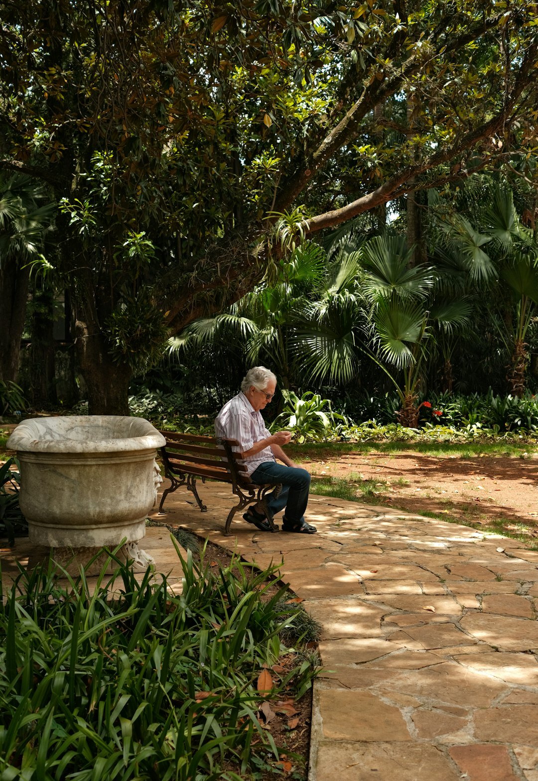 senior reading book in garden